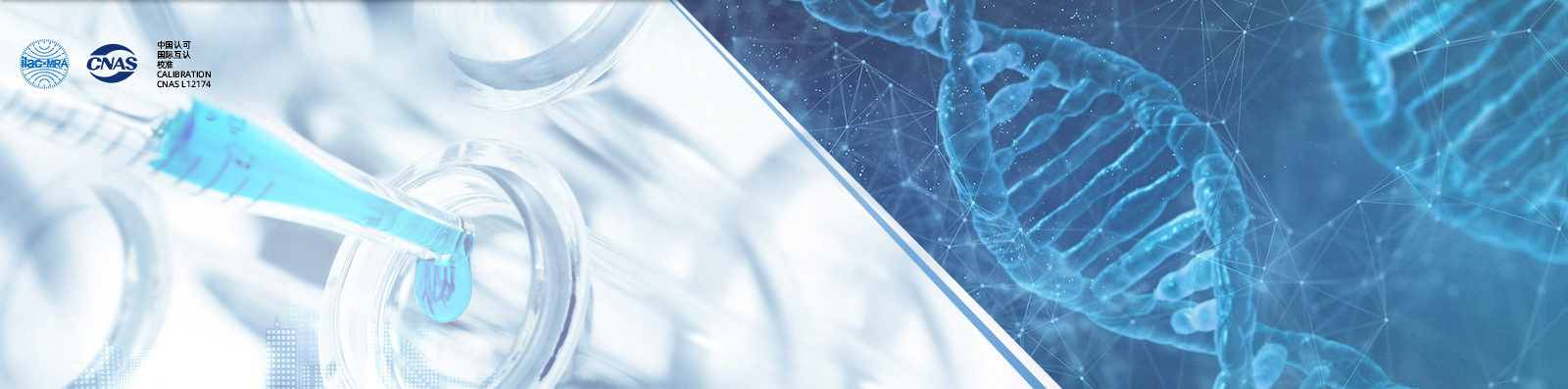 首頁Banner5